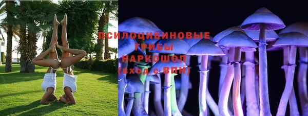 марки lsd Богородицк