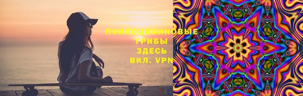 марки lsd Богородицк