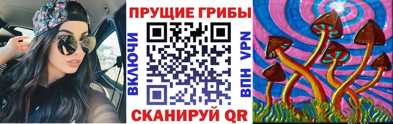 Купить где  Белоярский  Галлюциногенные грибы прущие грибы 